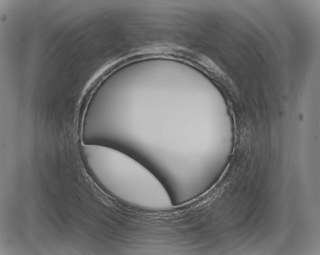 X0000085751216200703160829