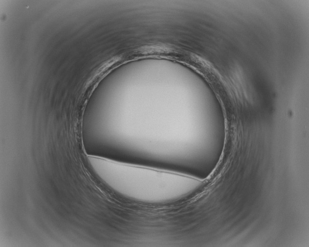 X0000085751217200703160829
