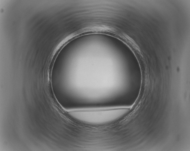 X0000085751226200703160829