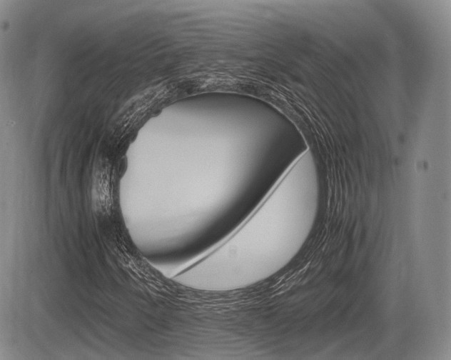 X0000085751250200703160829