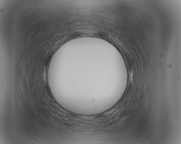 X0000085751251200703160829