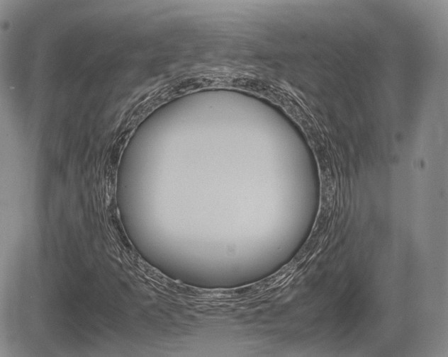 X0000085751253200703160829
