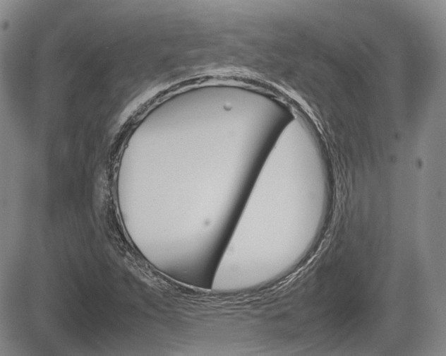 X0000085751263200703160828