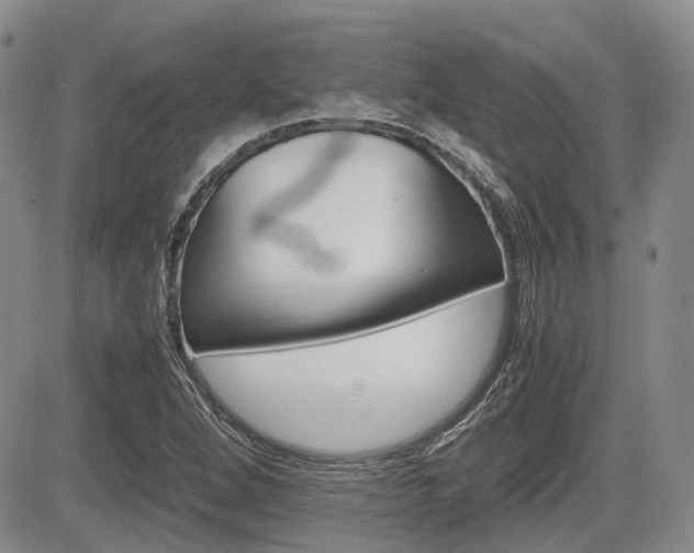X0000085751264200703160828