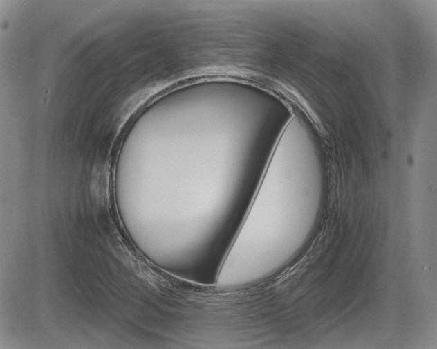 X0000085751268200703160828