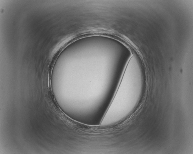X0000085751269200703160828