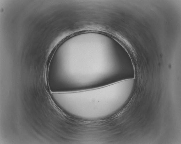 X0000085751272200703160828