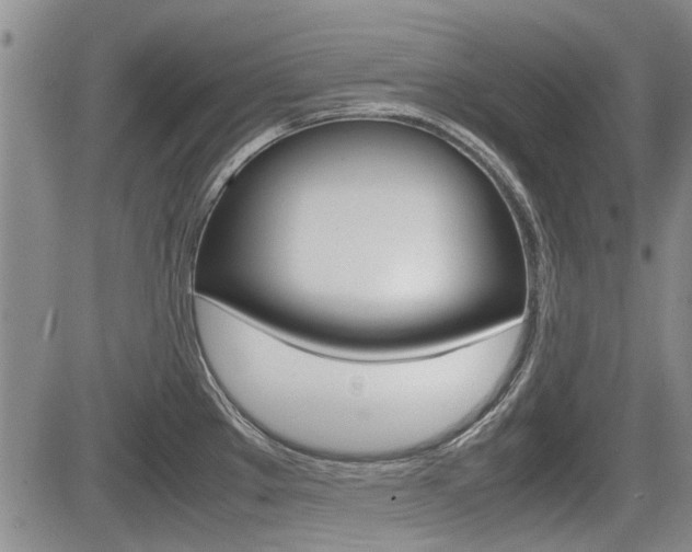 X0000085751289200703160828