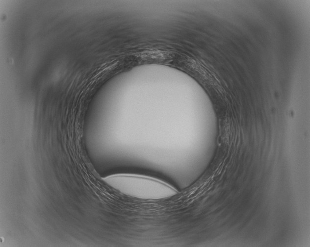 X0000085751297200703160827