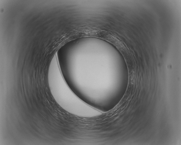 X0000085751298200703160827