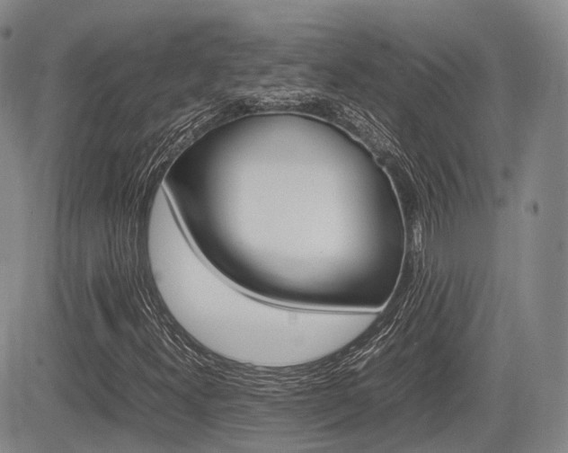 X0000085751300200703160827