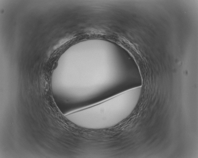 X0000085751303200703160827