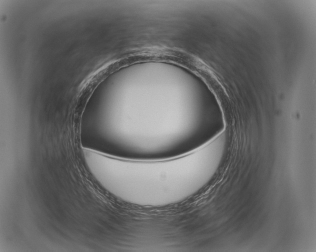 X0000085751304200703160827