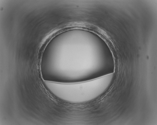 X0000085751312200703160827
