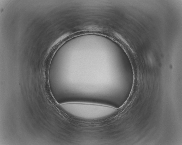X0000085751315200703160827
