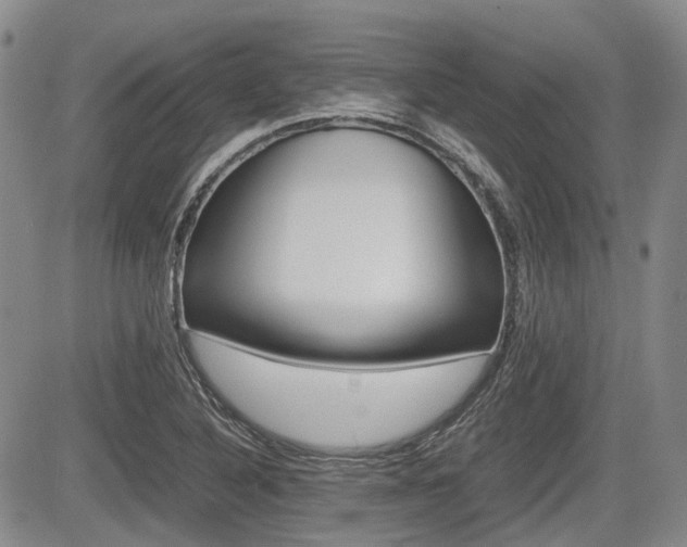 X0000085751316200703160827