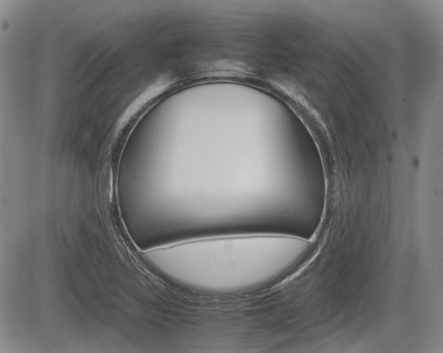 X0000085751317200703160827