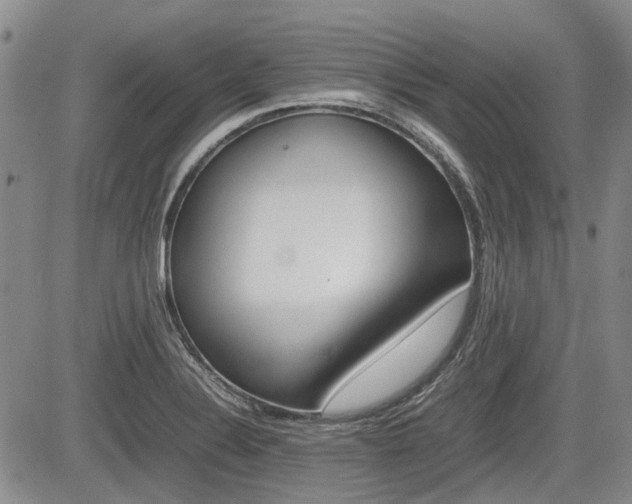 X0000085751324200703160828