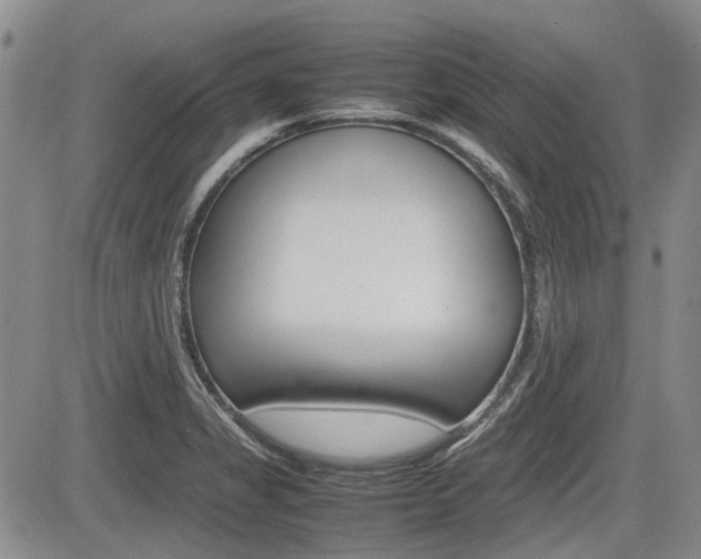 X0000085751325200703160828