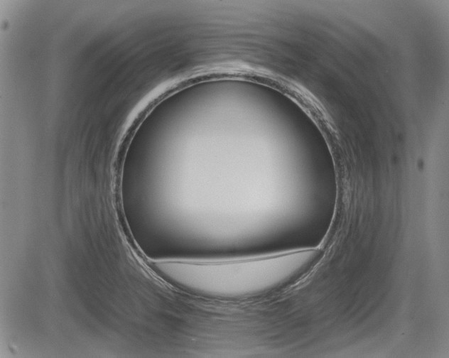 X0000085751326200703160828