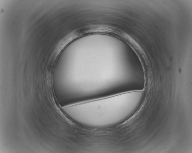 X0000085751329200703160828