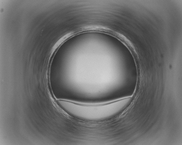 X0000085751330200703160828