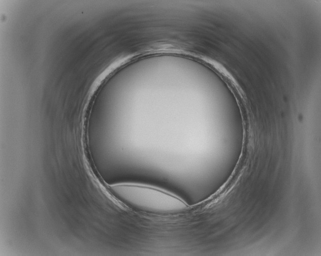 X0000085751333200703160828