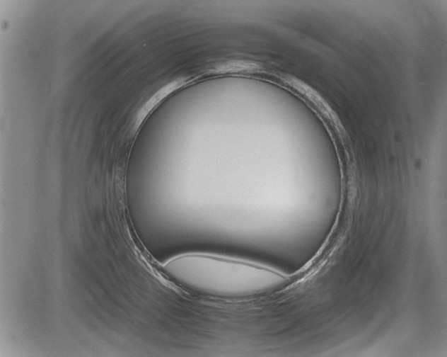 X0000085751337200703160828