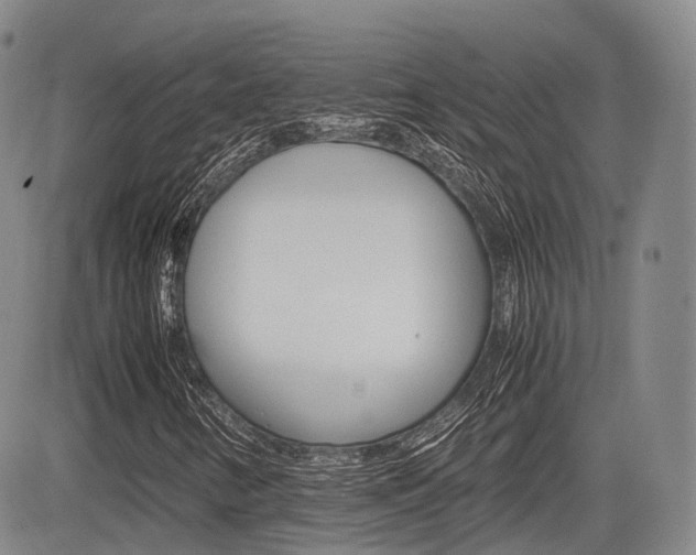 X0000085751346200703160827