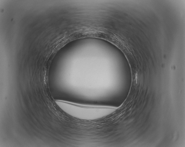 X0000085751348200703160827