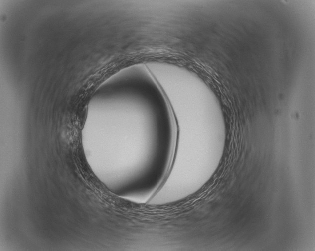 X0000085751349200703160827