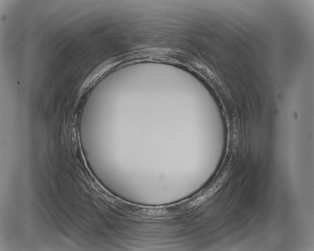 X0000085751354200703160827
