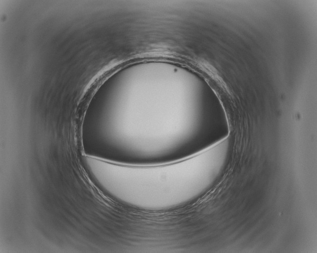 X0000085751356200703160827
