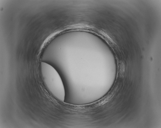 X0000085751358200703160827