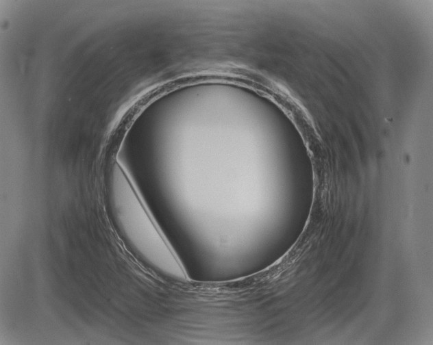 X0000085751360200703160827