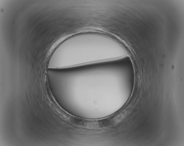 X0000085751363200703160827