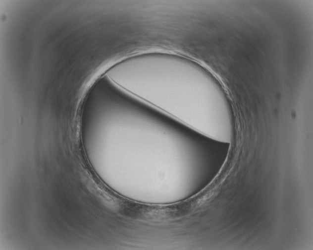 X0000085751367200703160827