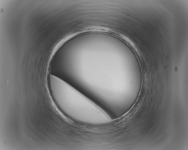 X0000085751379200703160827