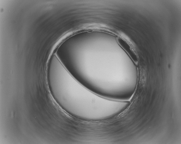 X0000085751384200703160826