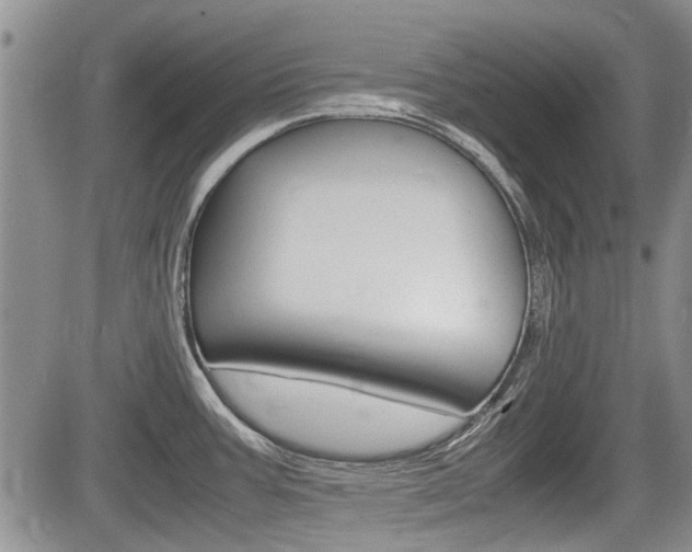 X0000085751387200703160826