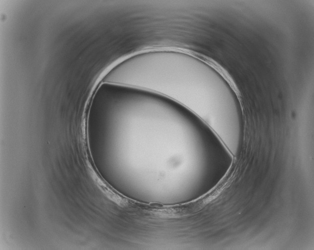 X0000085751388200703160826