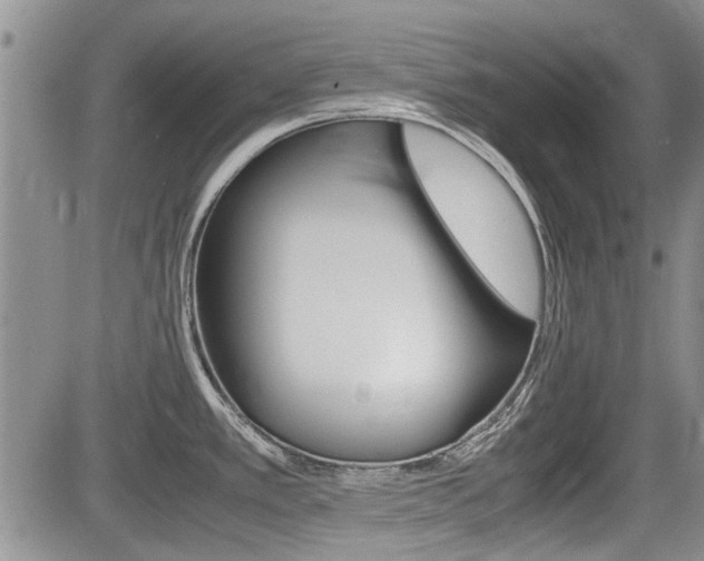 X0000085751389200703160826