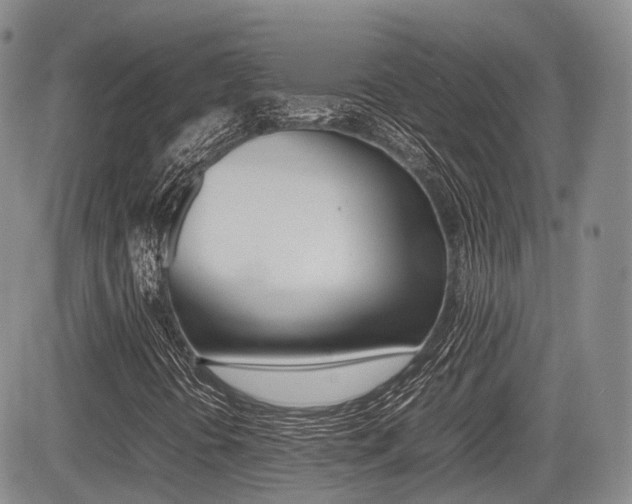 X0000085751394200703160826