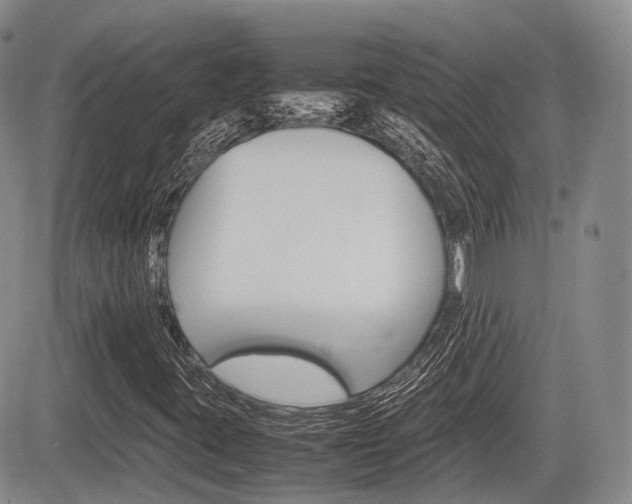 X0000085751395200703160826
