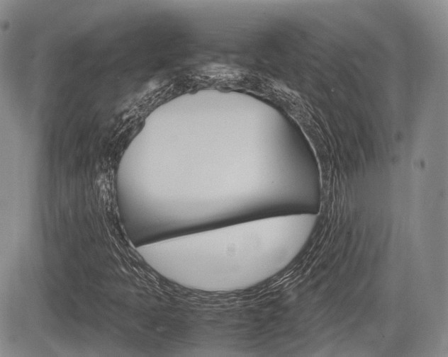 X0000085751397200703160826