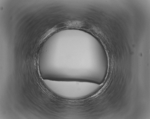 X0000085751401200703160826