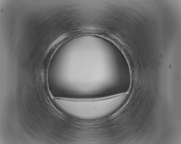 X0000085751402200703160826