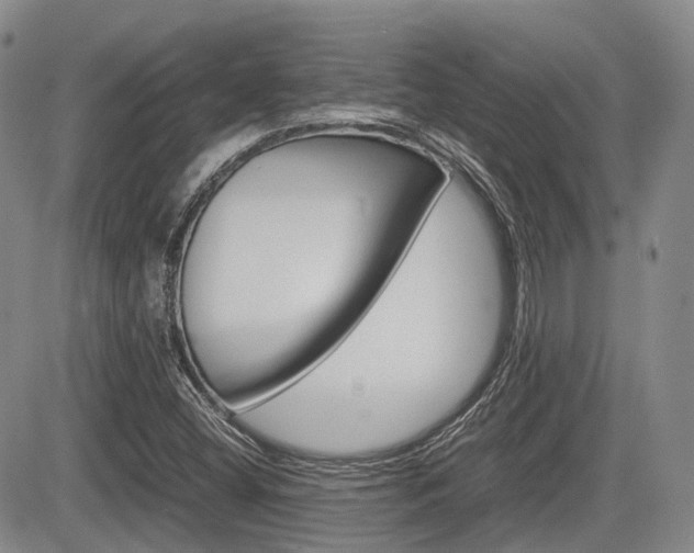X0000085751404200703160826