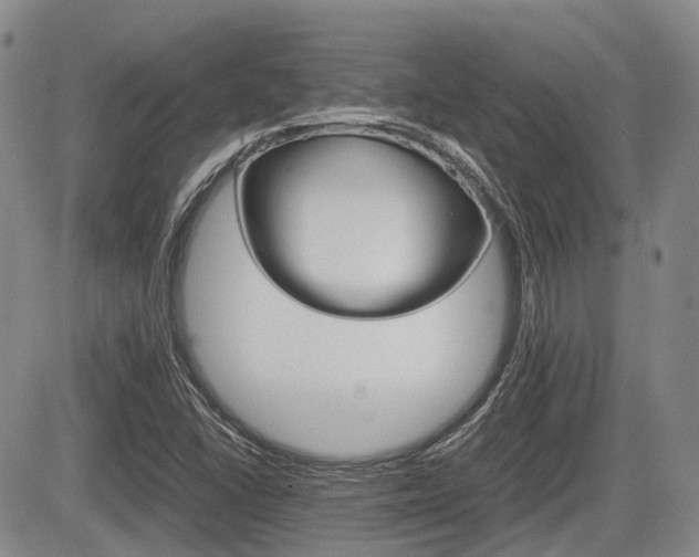 X0000085751406200703160826