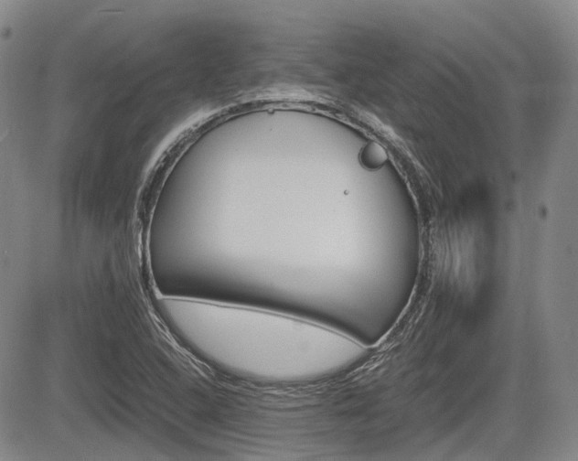 X0000085751408200703160826
